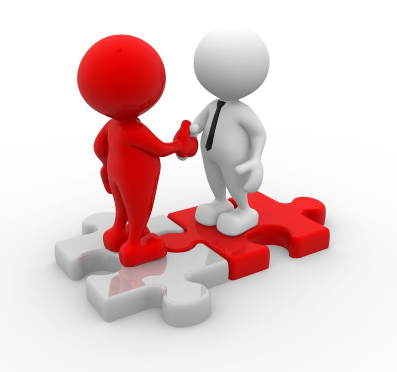 Expert & Professional